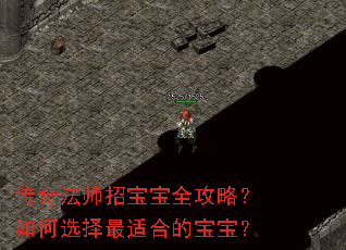 传奇法师招宝宝全攻略?如何选择最适合的宝宝? 传奇法师招宝宝全攻略?如何选择最适合的宝宝?