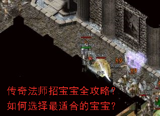 传奇法师招宝宝全攻略?如何选择最适合的宝宝? 传奇法师招宝宝全攻略?如何选择最适合的宝宝?