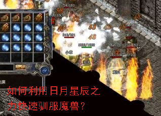 如何利用日月星辰之力快速驯服魔兽? 如何利用日月星辰之力快速驯服魔兽?