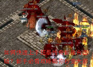 如何快速上手狂暴传奇新服合击版?新手必看攻略助你秒变大师 如何快速上手狂暴传奇新服合击版?新手必看攻略助你秒变大师