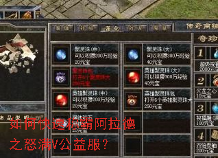 如何快速称霸阿拉德之怒满V公益服? 如何快速称霸阿拉德之怒满V公益服?