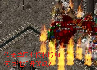 ���浥ְҵ��Ȩ����ο��������ȼ���