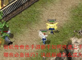 街机传奇志手游新手如何快速上手?征战沙场有哪些必备技巧?决战巅峰怎么成为最强王者? 街机传奇志手游新手如何快速上手?征战沙场有哪些必备技巧?决战巅峰怎么成为最强王者?