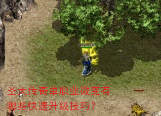 圣天传奇单职业微变有哪些快速升级技巧? 圣天传奇单职业微变有哪些快速升级技巧?