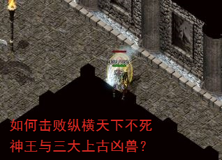 如何击败纵横天下不死神王与三大上古凶兽? 如何击败纵横天下不死神王与三大上古凶兽?