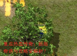 重温热血传奇:新服奇遇与攻略全解析? 重温热血传奇:新服奇遇与攻略全解析?