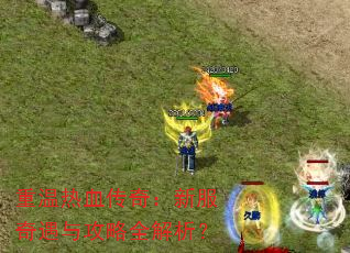 重温热血传奇:新服奇遇与攻略全解析? 重温热血传奇:新服奇遇与攻略全解析?