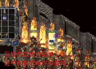 玩转热血传奇私服手游,这些终极攻略你知道吗? 玩转热血传奇私服手游,这些终极攻略你知道吗?