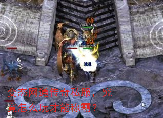 ��̬��ͨ����˽����������ô����ܳưԣ�