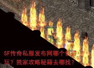 SF传奇私服发布网哪个值得玩?独家攻略秘籍去哪找? SF传奇私服发布网哪个值得玩?独家攻略秘籍去哪找?