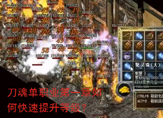 ���굥ְҵ��һ����ο��������ȼ���