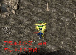 ���굥ְҵ��һ����ο��������ȼ���