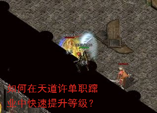 如何在天道许单职蹿业中快速提升等级? 如何在天道许单职蹿业中快速提升等级?