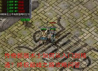 传奇新服术士如何从入门到精通?终极巅峰之路攻略问答 传奇新服术士如何从入门到精通?终极巅峰之路攻略问答