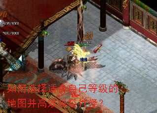 如何选择适合自己等级的地图并高效越级打怪? 如何选择适合自己等级的地图并高效越级打怪?