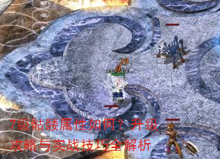 7级骷髅属性如何?升级攻略与实战技巧全解析 7级骷髅属性如何?升级攻略与实战技巧全解析