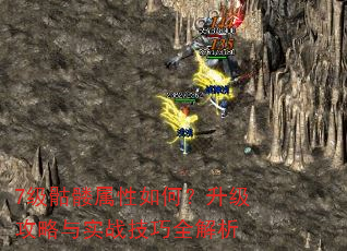 7级骷髅属性如何?升级攻略与实战技巧全解析 7级骷髅属性如何?升级攻略与实战技巧全解析