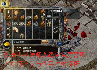 传奇世界法师九级宝宝厉害吗?如何培养与使用攻略解析 传奇世界法师九级宝宝厉害吗?如何培养与使用攻略解析