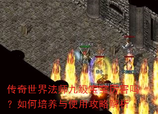 传奇世界法师九级宝宝厉害吗?如何培养与使用攻略解析 传奇世界法师九级宝宝厉害吗?如何培养与使用攻略解析