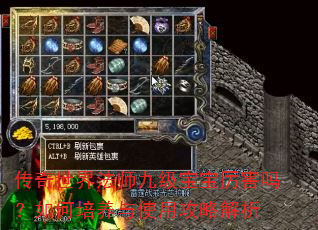 传奇世界法师九级宝宝厉害吗?如何培养与使用攻略解析 传奇世界法师九级宝宝厉害吗?如何培养与使用攻略解析