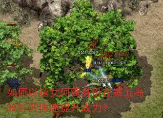 如何以越女阿青身份在第五岛3931区快速提升战力? 如何以越女阿青身份在第五岛3931区快速提升战力?
