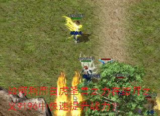 如何利用白虎圣兽之力在结拜之义9196中快速提升战力? 如何利用白虎圣兽之力在结拜之义9196中快速提升战力?