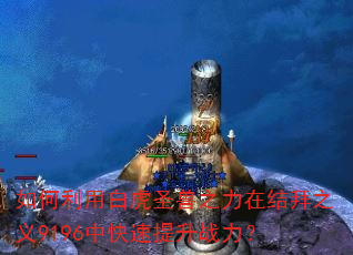 如何利用白虎圣兽之力在结拜之义9196中快速提升战力? 如何利用白虎圣兽之力在结拜之义9196中快速提升战力?