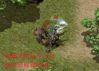 传奇SF新站个人玩家如何称霸战场? 传奇SF新站个人玩家如何称霸战场?