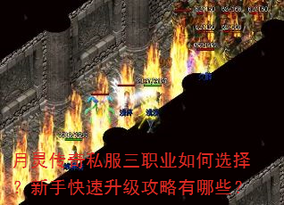 月灵传奇私服三职业如何选择?新手快速升级攻略有哪些? 月灵传奇私服三职业如何选择?新手快速升级攻略有哪些?