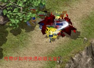 ����SF��ο���ˢȡԪ����