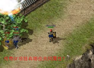 传奇SF项链有哪些共同属性? 传奇SF项链有哪些共同属性?