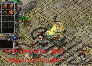 如何快速提升角色等级?新区冲级攻略全解析 如何快速提升角色等级?新区冲级攻略全解析