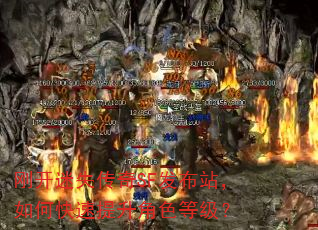 刚开迷失传奇SF发布站,如何快速提升角色等级? 刚开迷失传奇SF发布站,如何快速提升角色等级?