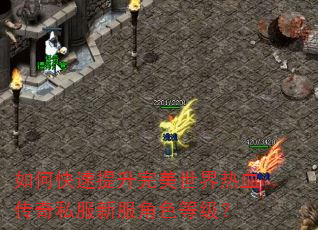 如何快速提升完美世界热血传奇私服新服角色等级? 如何快速提升完美世界热血传奇私服新服角色等级?