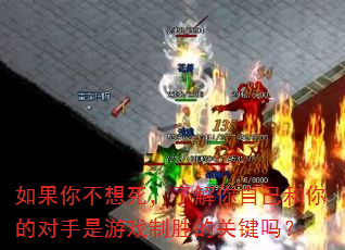 如果你不想死,了解你自己和你的对手是游戏制胜的关键吗? 如果你不想死,了解你自己和你的对手是游戏制胜的关键吗?