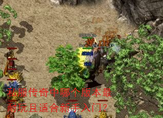 私服传奇中哪个版本最耐玩且适合新手入门? 私服传奇中哪个版本最耐玩且适合新手入门?