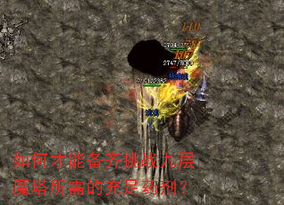 如何才能备齐挑战九层魔塔所需的充足药剂? 如何才能备齐挑战九层魔塔所需的充足药剂?