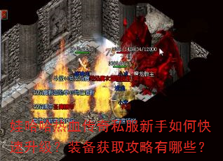 娃哈哈热血传奇私服新手如何快速升级?装备获取攻略有哪些? 娃哈哈热血传奇私服新手如何快速升级?装备获取攻略有哪些?
