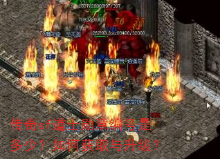 ����sf��ʿѫ�±���Ƕ��٣���λ�ȡ��������