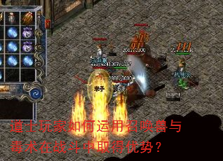 ��ʿ�����������ٻ����붾����ս����ȡ�����ƣ�