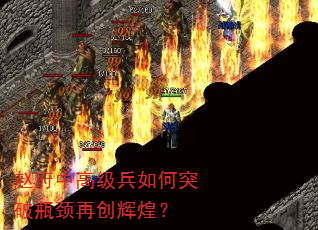 赵府中高级兵如何突破瓶颈再创辉煌? 赵府中高级兵如何突破瓶颈再创辉煌?