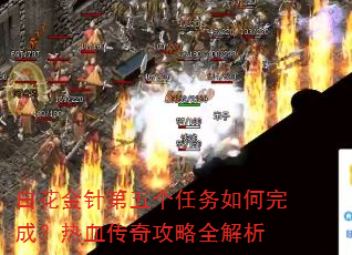 白花金针第五个任务如何完成?热血传奇攻略全解析 白花金针第五个任务如何完成?热血传奇攻略全解析