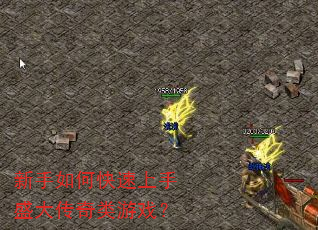 新手如何快速上手盛大传奇类游戏? 新手如何快速上手盛大传奇类游戏?
