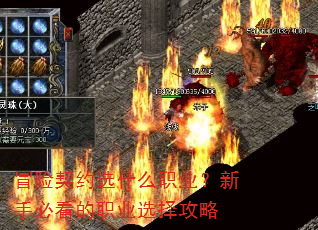 冒险契约选什么职业?新手必看的职业选择攻略 冒险契约选什么职业?新手必看的职业选择攻略
