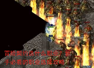 冒险契约选什么职业?新手必看的职业选择攻略 冒险契约选什么职业?新手必看的职业选择攻略