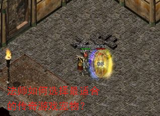 法师如何选择最适合的传奇游戏宠物? 法师如何选择最适合的传奇游戏宠物?