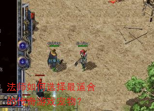 法师如何选择最适合的传奇游戏宠物? 法师如何选择最适合的传奇游戏宠物?