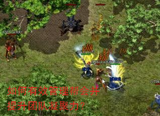 如何有效管理帮会并提升团队凝聚力? 如何有效管理帮会并提升团队凝聚力?