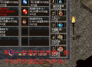 刚开一秒单职业传奇,新手如何快速起步与升级? 刚开一秒单职业传奇,新手如何快速起步与升级?