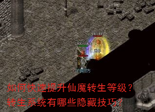 如何快速提升仙魔转生等级?转生系统有哪些隐藏技巧? 如何快速提升仙魔转生等级?转生系统有哪些隐藏技巧?